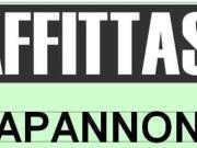 Capannone in affitto a Reggio Emilia