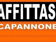 Capannone in affitto a Reggio Emilia