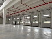 Capannone in affitto a Reggiolo