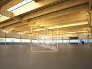 Capannone in Affitto a Rolo