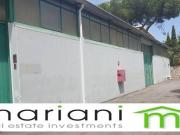 Capannone in affitto a Roma