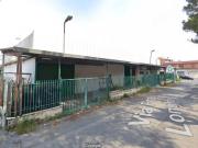 Capannone in affitto a Roma