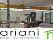 Capannone in affitto a Roma