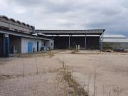 Capannone in affitto a Roma