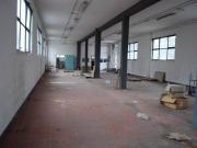 Capannone in affitto a Roma