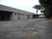 Capannone in affitto a Roma