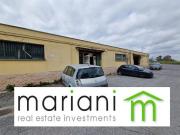 Capannone in affitto a Roma