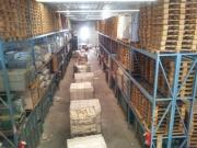 Capannone in affitto a Roma