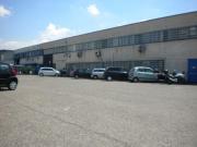 Capannone in affitto a Roma