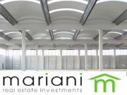 Capannone in affitto a Roma