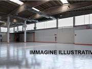 Capannone in affitto a Scandicci