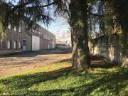 Capannone in affitto a Senago