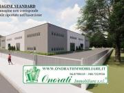 Capannone in affitto a Tivoli