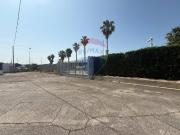 Capannone in affitto a Bari Capannone in affitto a Bari