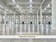 Capannone in Affitto a Verona