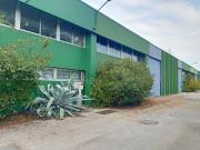 Capannone in affitto di 1060 m² in Via Pier Paolo...