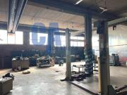 Capannone in affitto di 2000 m² in Via Correggio