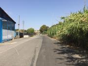 Capannone in affitto di 350 m² in Via delle Idrovore...