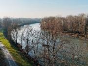 Capannone in affitto di 6000 m² in Corso Casale, 465