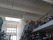 Capannone in affitto di 720 m² in Via di Casale