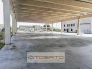 Capannone in Vendita a Casaleone