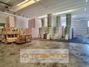 Capannone in Vendita a Casaleone