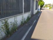 Capannone in vendita a Lainate