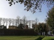 Capannone in vendita a Lucca