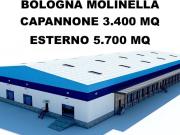 Capannone in Vendita a Molinella