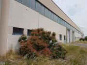 Capannone in vendita a Novi Di Modena