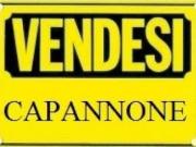 Capannone in vendita a Piacenza