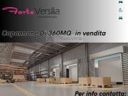 Capannone in vendita a Pietrasanta, Marina di Pietrasanta