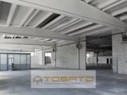 Capannone in Vendita a Poggio Rusco