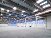 Capannone in vendita a Pregnana Milanese