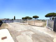 Capannone in vendita a Roma