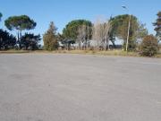 Capannone in vendita a Roma