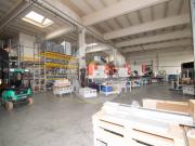 Capannone in Vendita a San Giorgio delle Pertiche