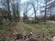 Capannone in vendita a San Pietro Avellana