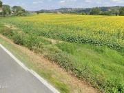 Capannone in vendita a Terricciola