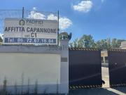 Capannone in vendita di 1020 m² in Via Ostiense, 939