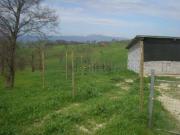 Capannone in vendita di 1250 m² in Contrada Macchia