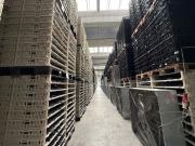 Capannone in vendita di 1680 m² in Corso Dante Alighieri