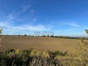 Capannone in vendita di 300 m² in Via delle Vigne