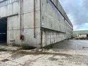 Capannone in vendita di 3200 m² in Strada consortiler