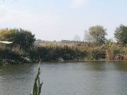 Capannone in vendita di 500000 m² in Contrada Collefreddo