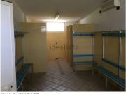 Capannone in vendita di 773 m² in Contrada Carapollo