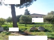 Capannone in vendita di 833 m² in Località is buttegheddas