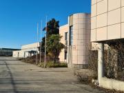 Capannone in vendita di 9160 m² in Strada Biandrate, 59