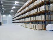 Capannone industriale in affitto a Pontedera 15000 mq...