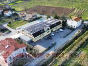Capannone Industriale/Artigianale in vendita a...